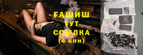 шишки Теберда