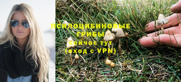 не бодяженный Таштагол