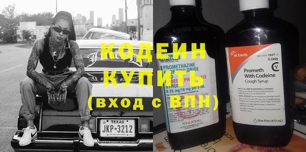 шишки Теберда