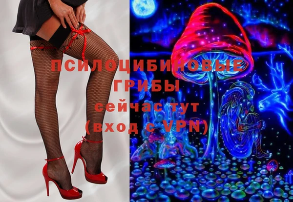 гидра Татарск