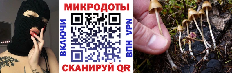 ссылка на мегу рабочий сайт  Самара  Галлюциногенные грибы мицелий 