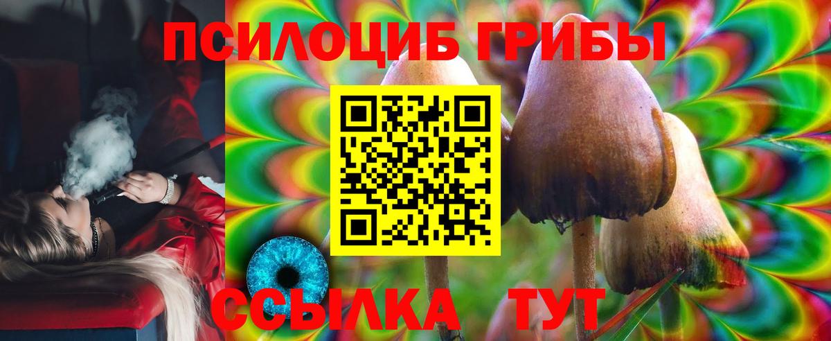 Псилоцибиновые грибы Cubensis Самара