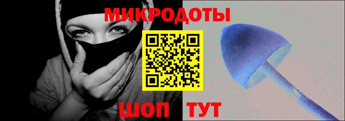 купить наркотики цена  Самара  Галлюциногенные грибы Psilocybine cubensis 